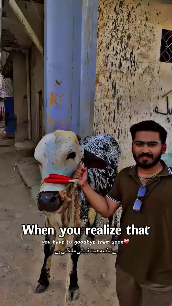 @MR,HAMMAD ❣️👻🥰