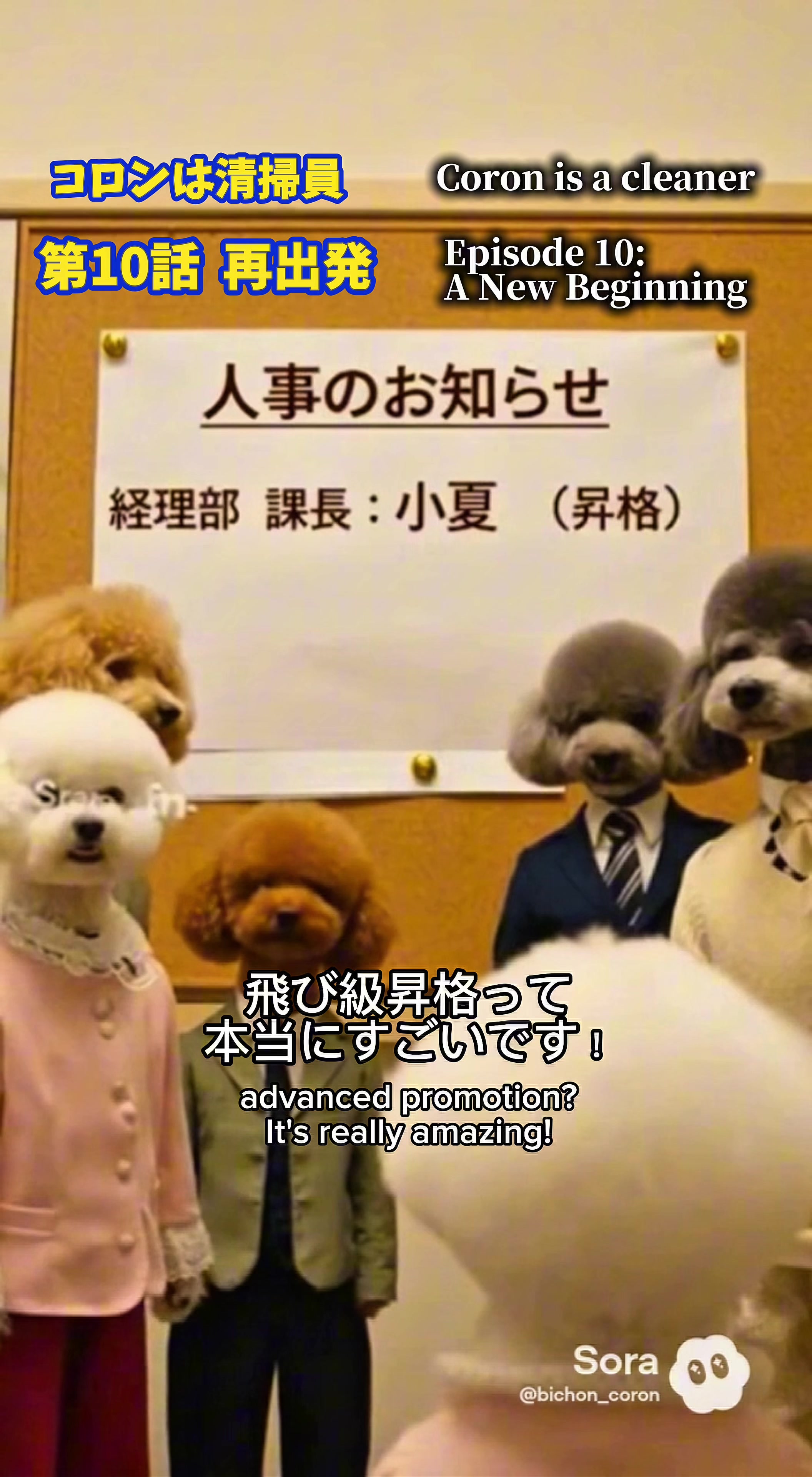 @コロン🐶