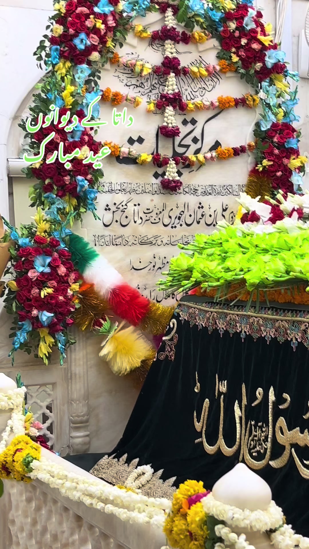 @مانی Net والا