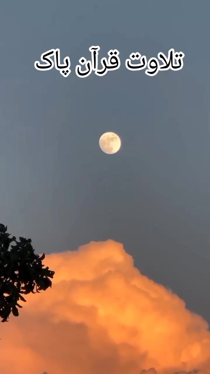 @گمنام دل❤️🩹