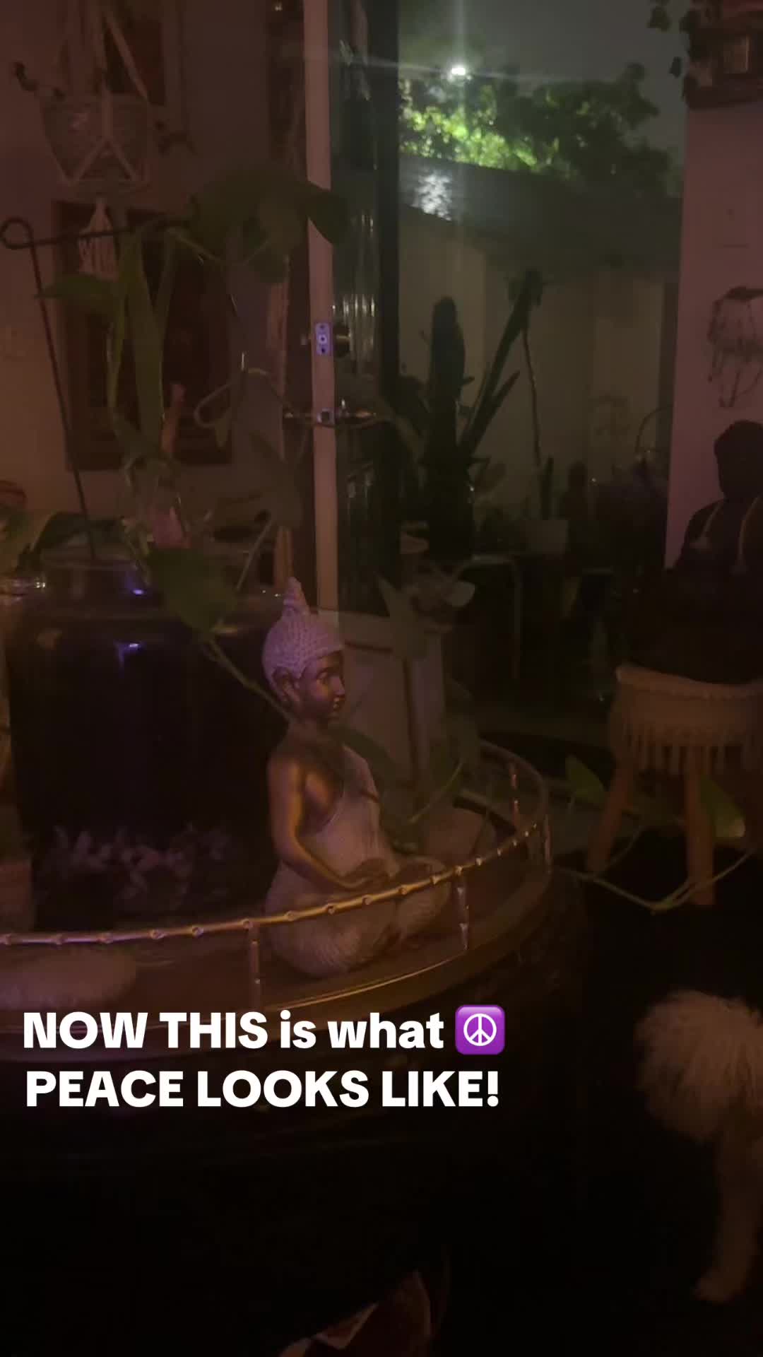 @Nikki