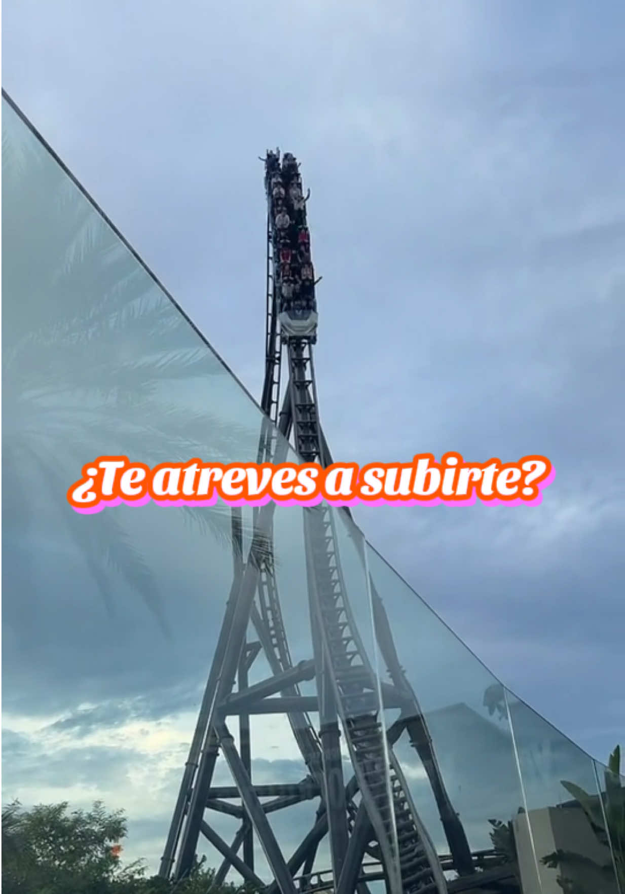 @steven