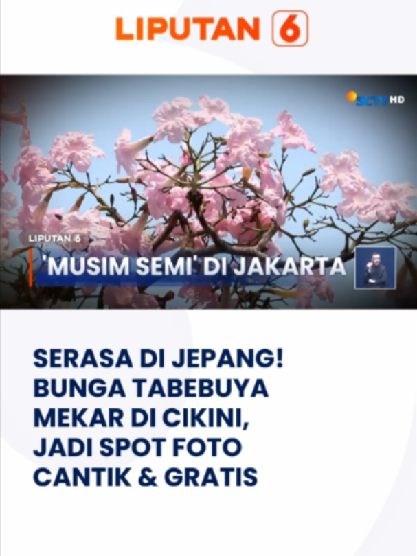 @Liputan6