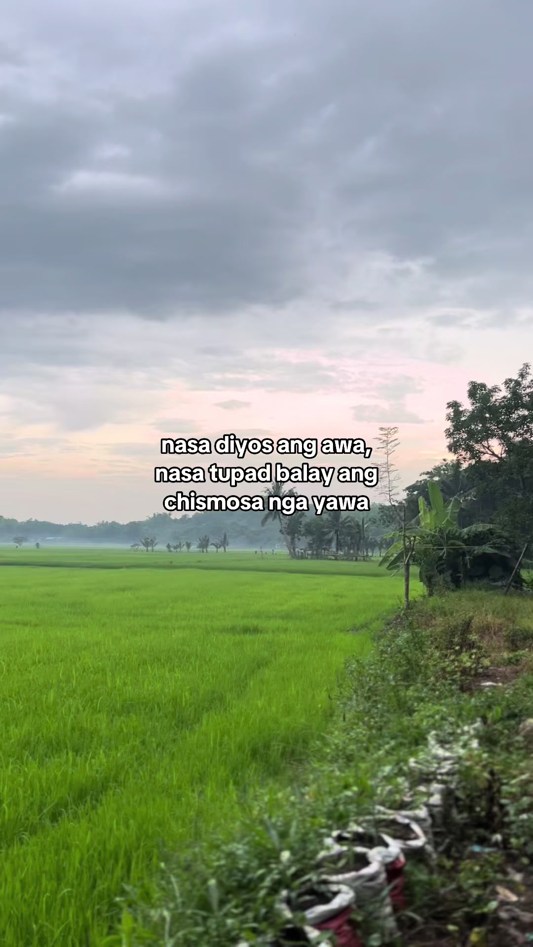 @bentong_on_fb