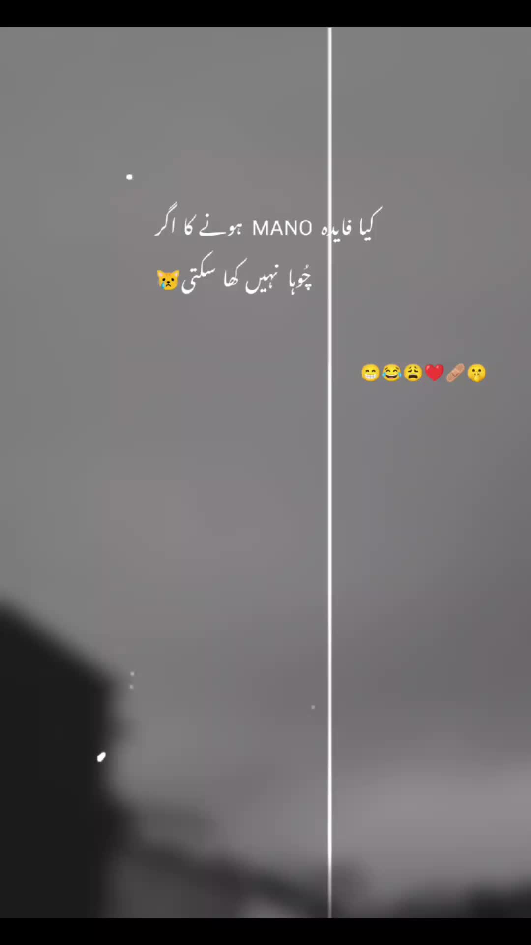 @𝙈𝘼𝙉𝙐