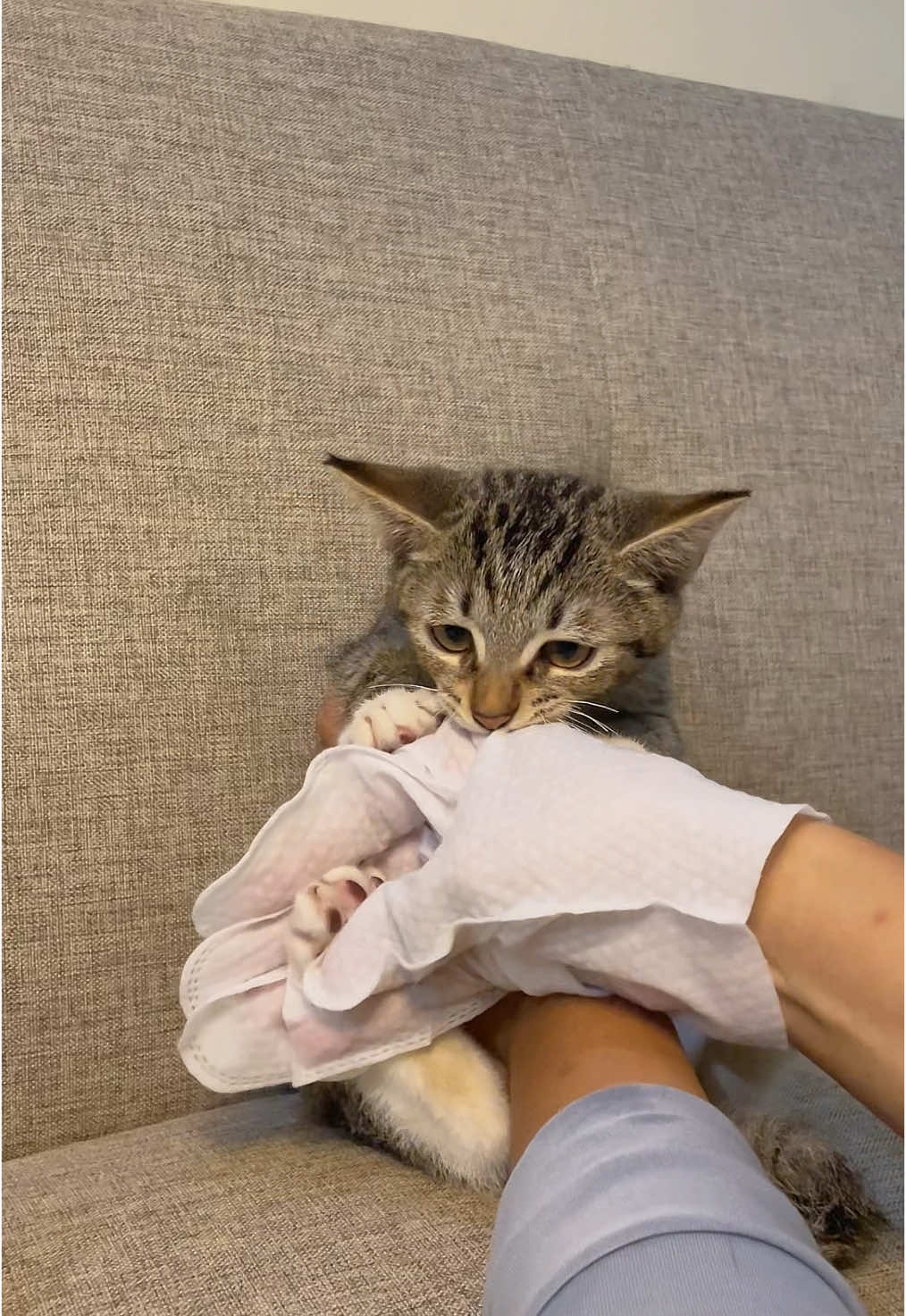 @three_muscateers