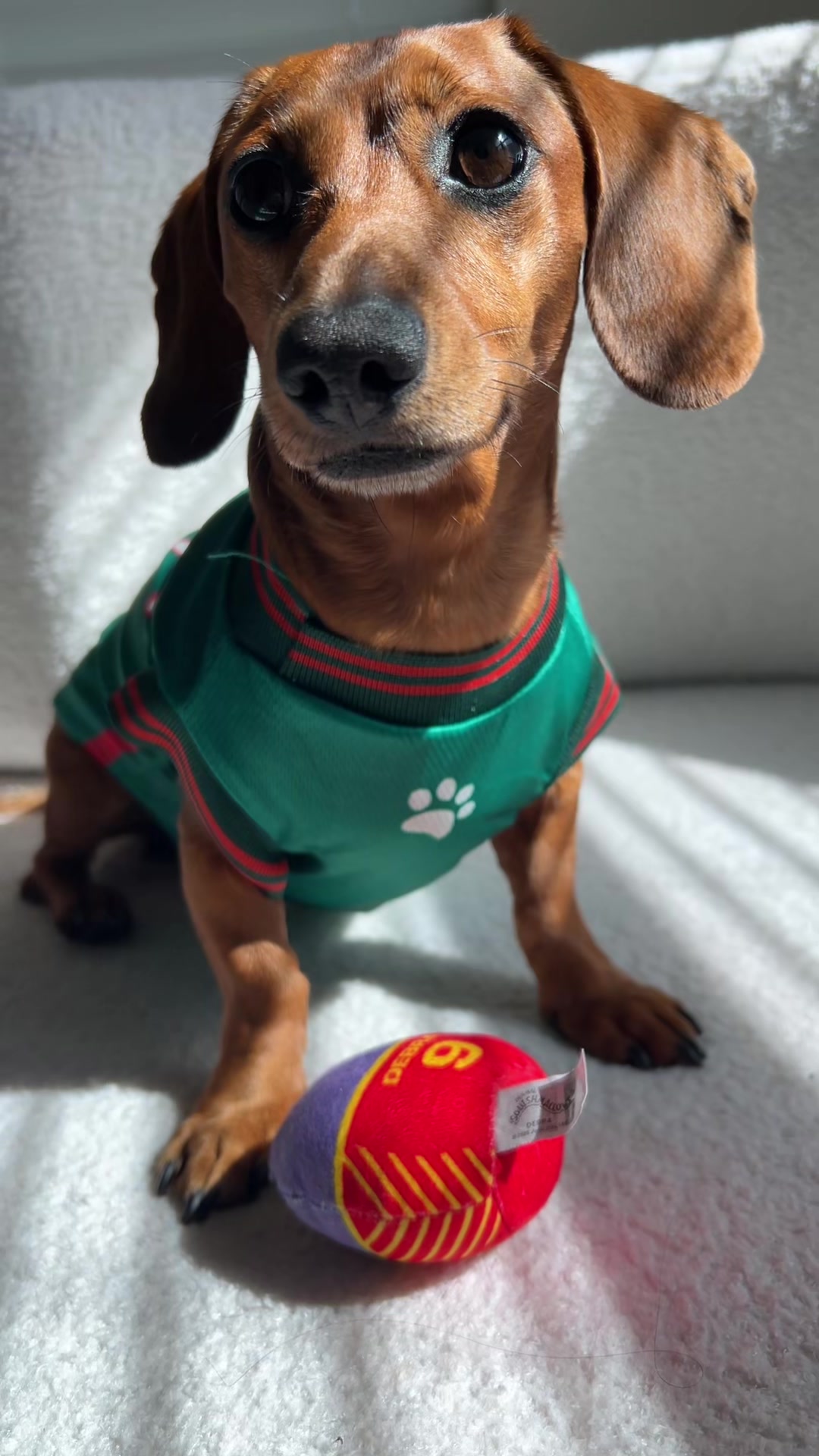 @Slinky Severus-Doo