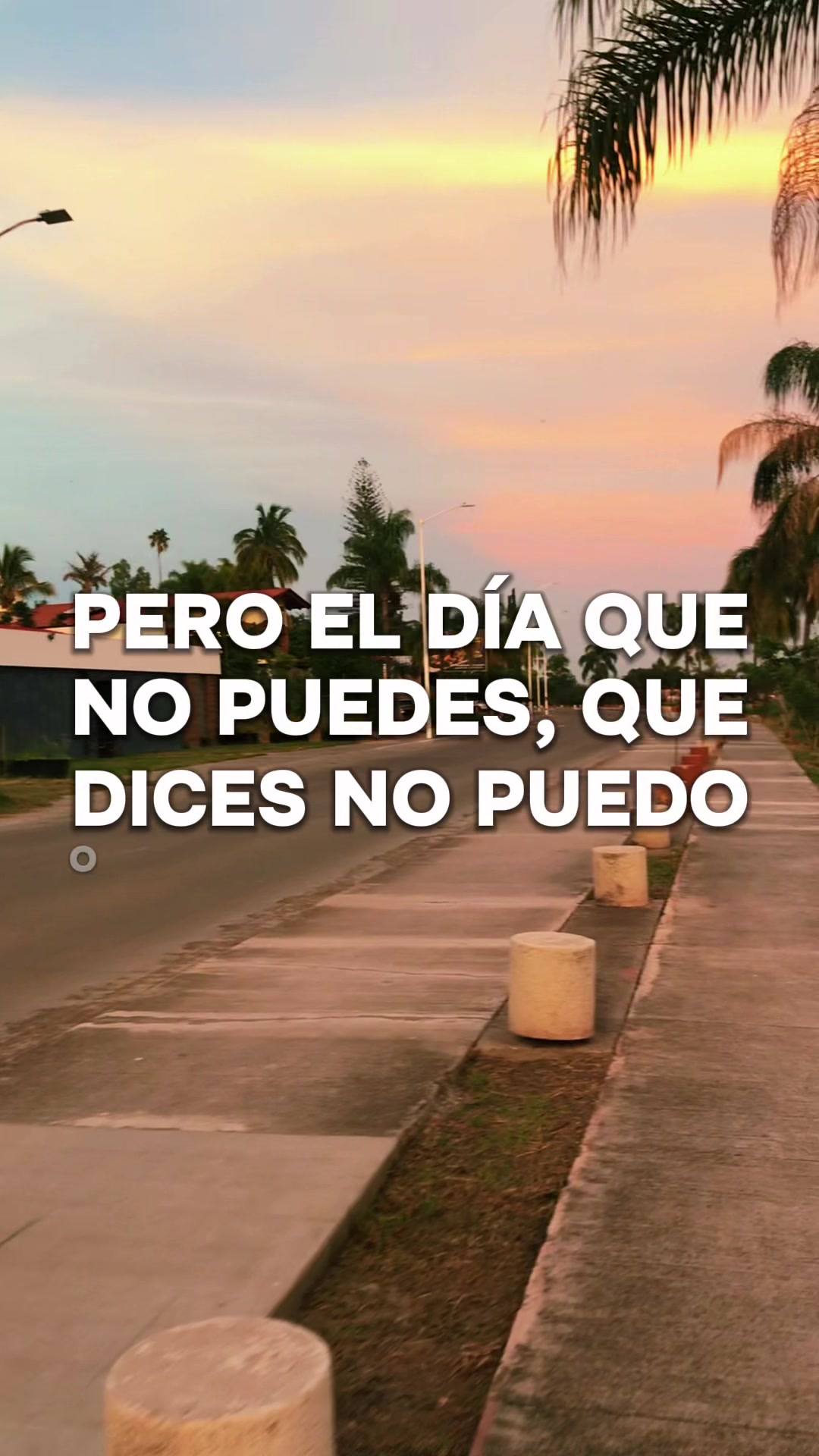 @DANY ALEX