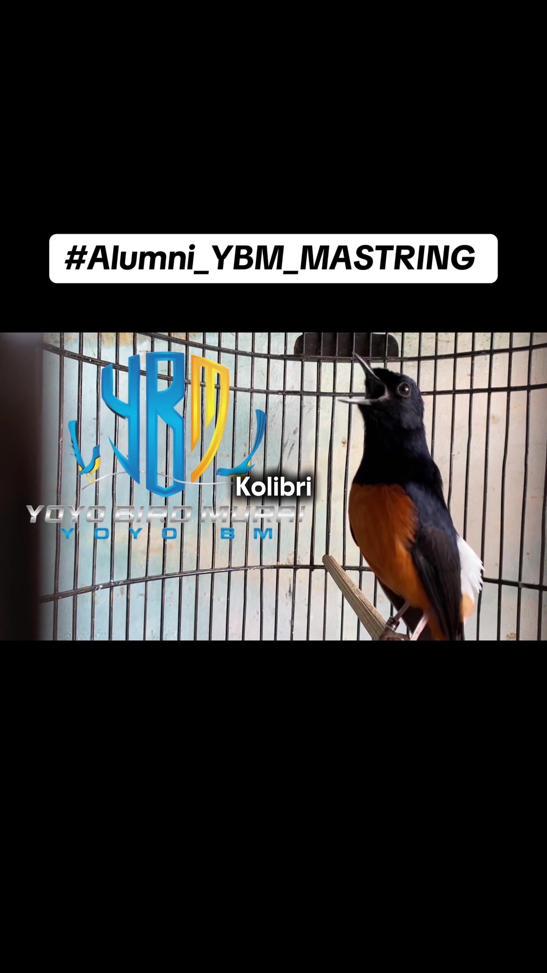 @YOYO SUBAGIO 2