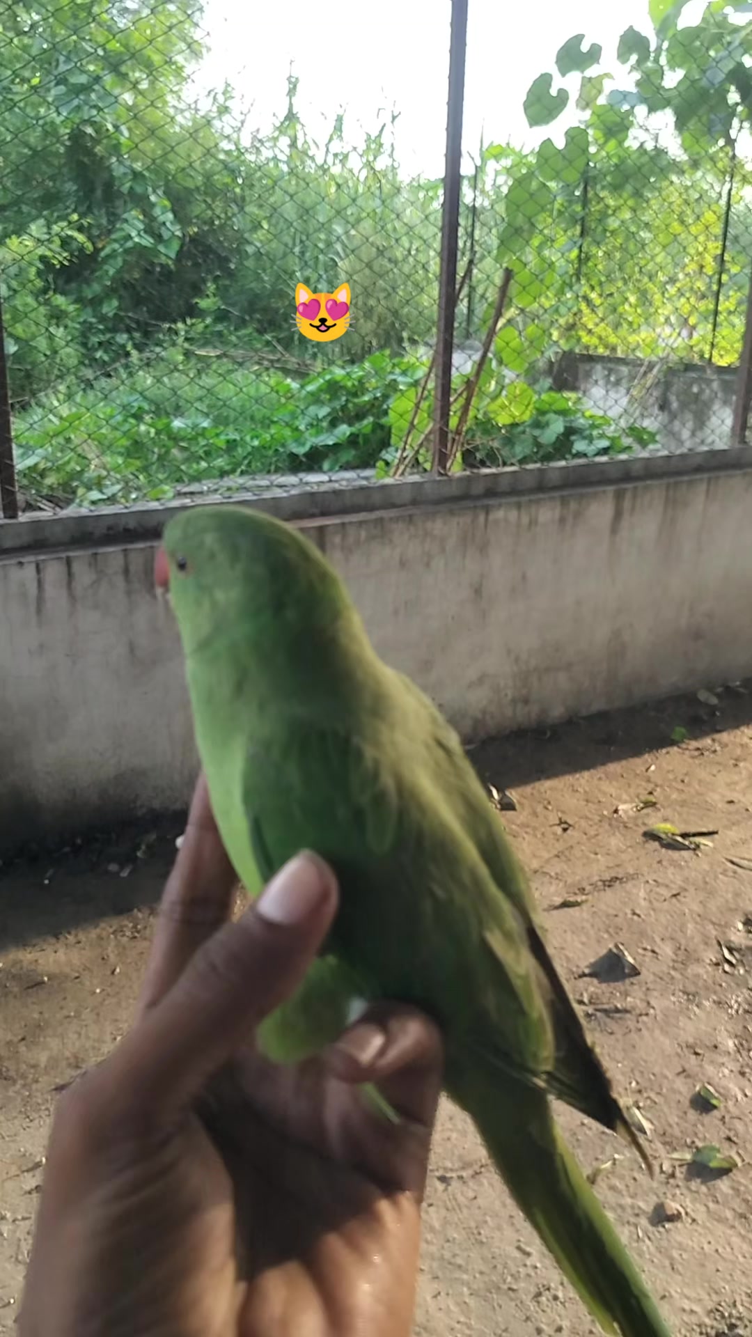 @बदमाश अहिर 🦋🦋