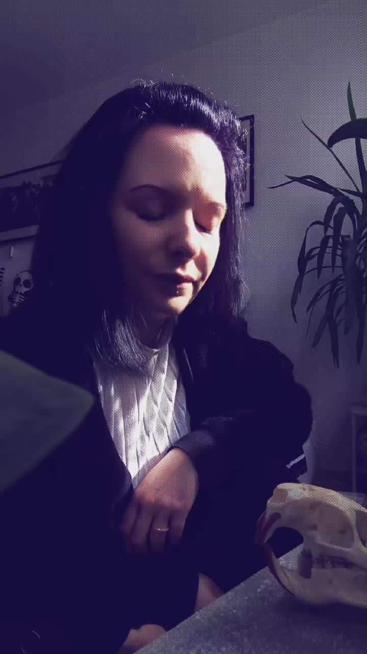 @BlackRaven