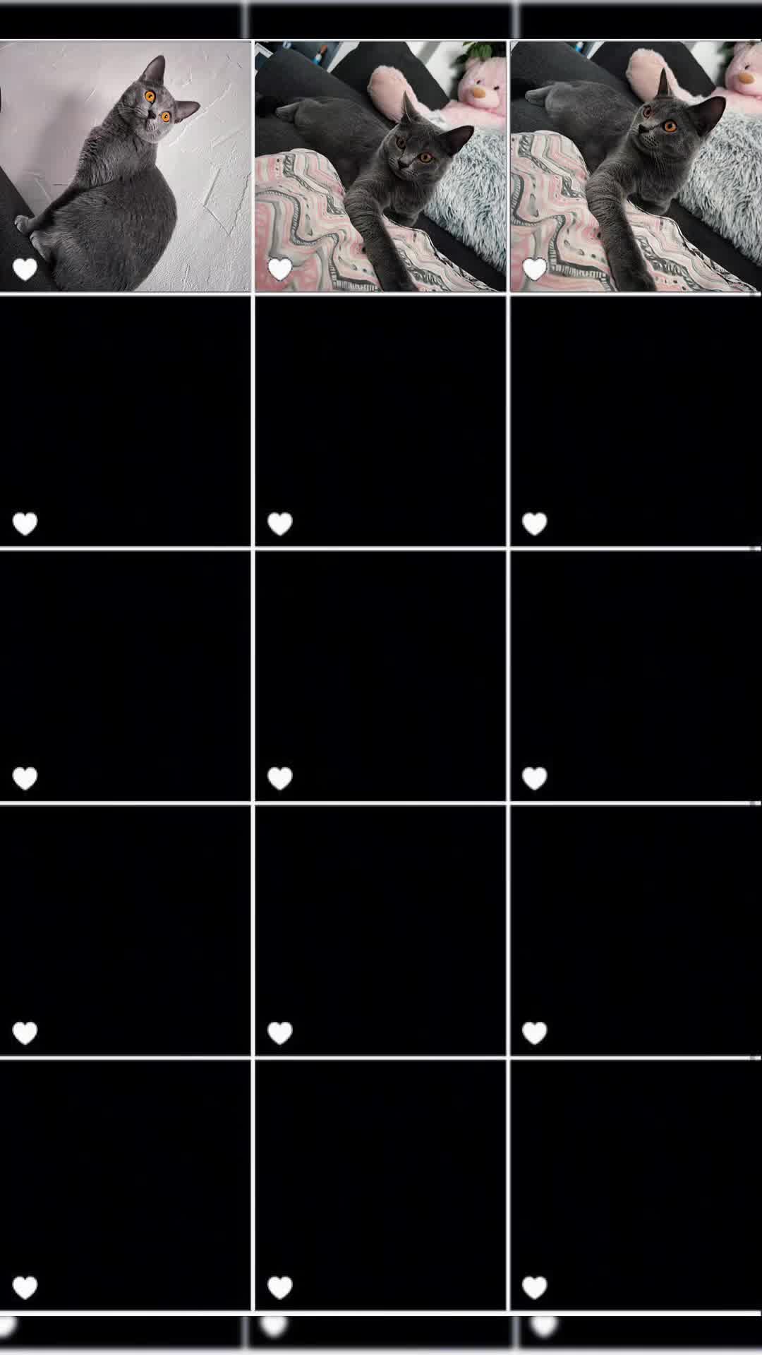 @🖤🤍💎 Rose 💎🤍🖤