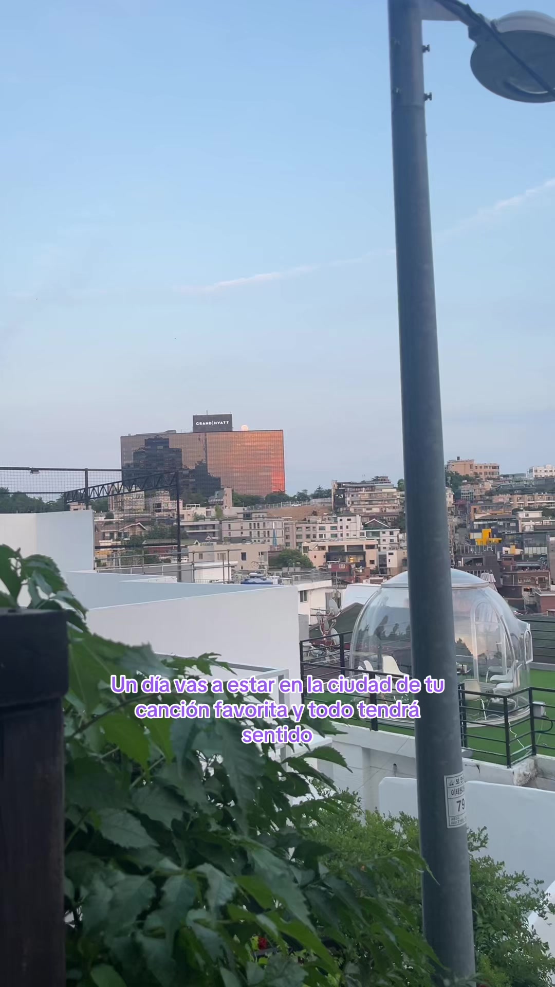 @dannixyo