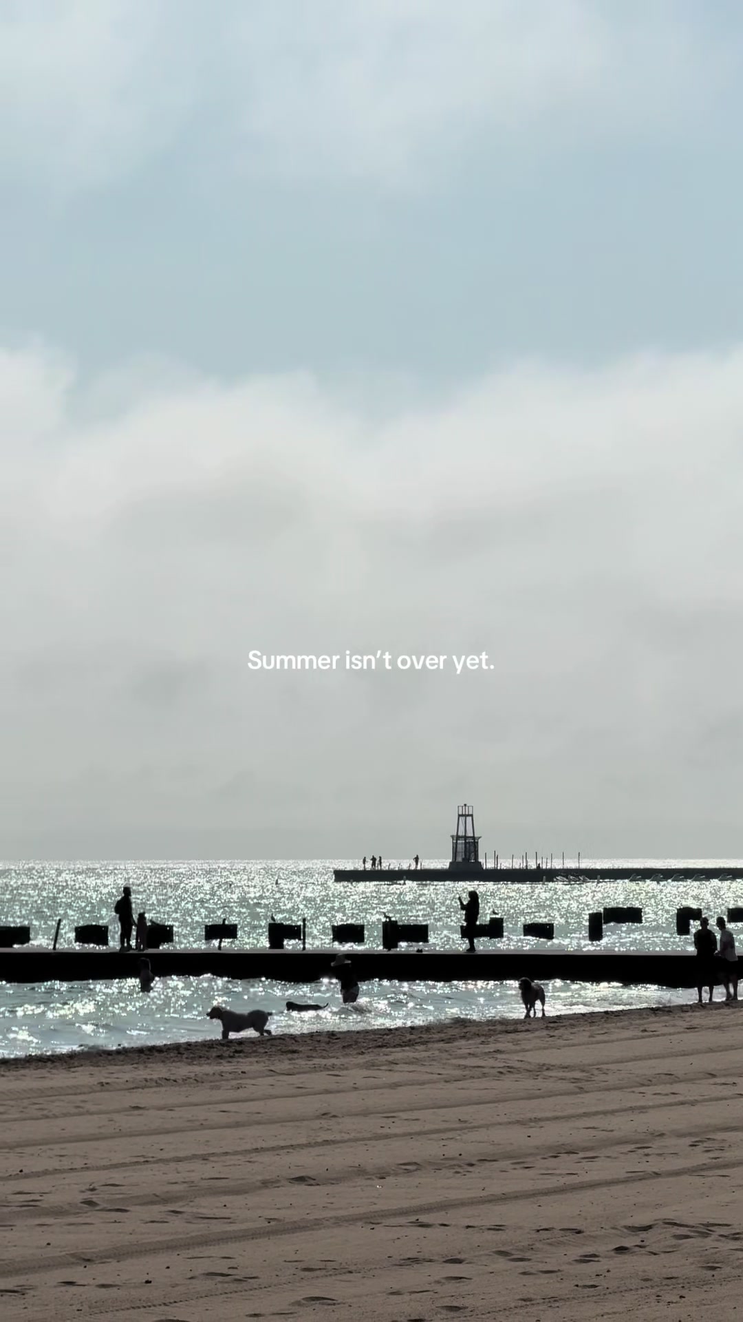 @LocalsOnlyChicago