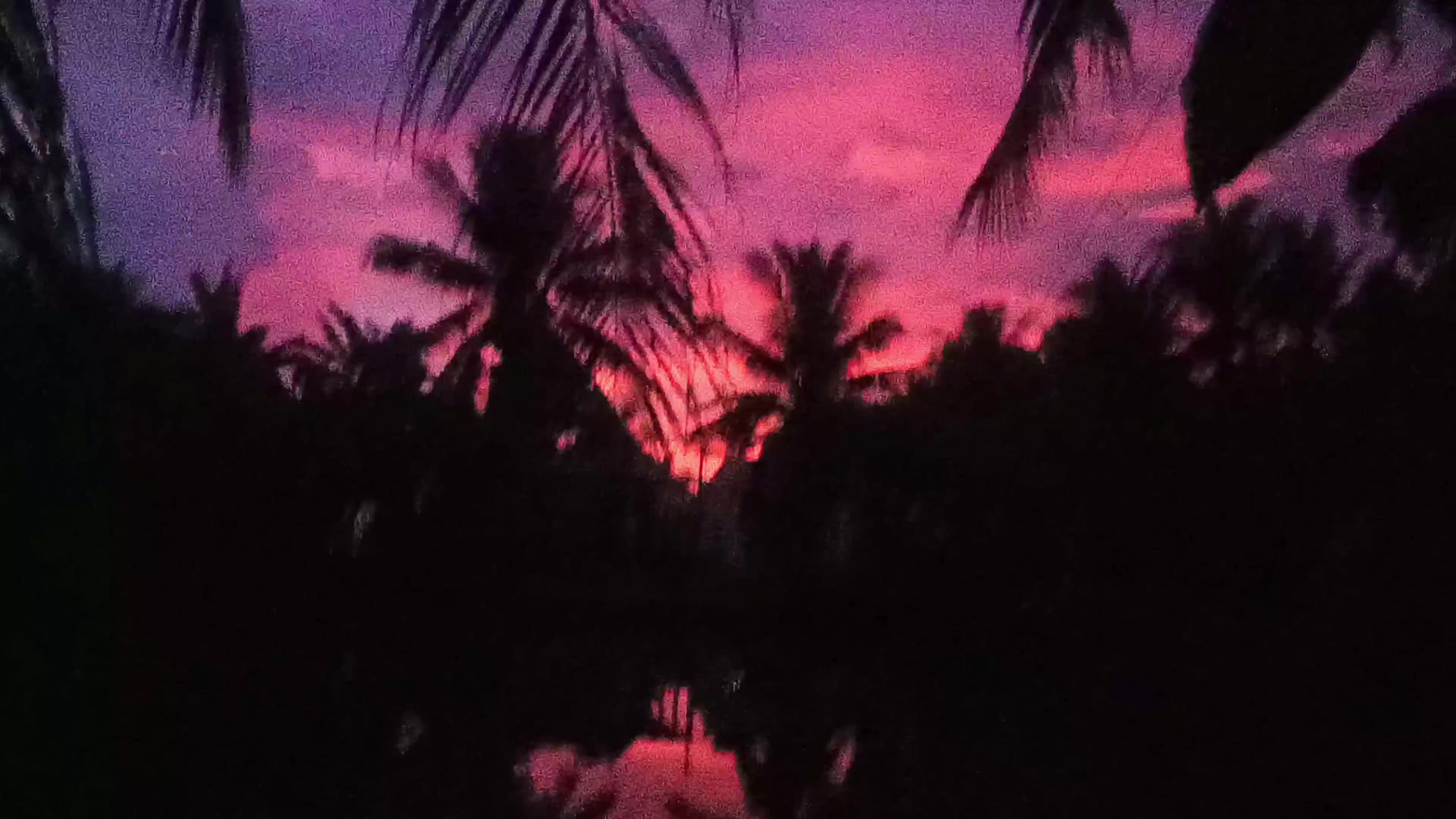 @Wo0k