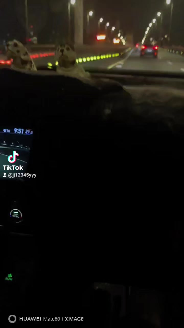 @jj12345yyy