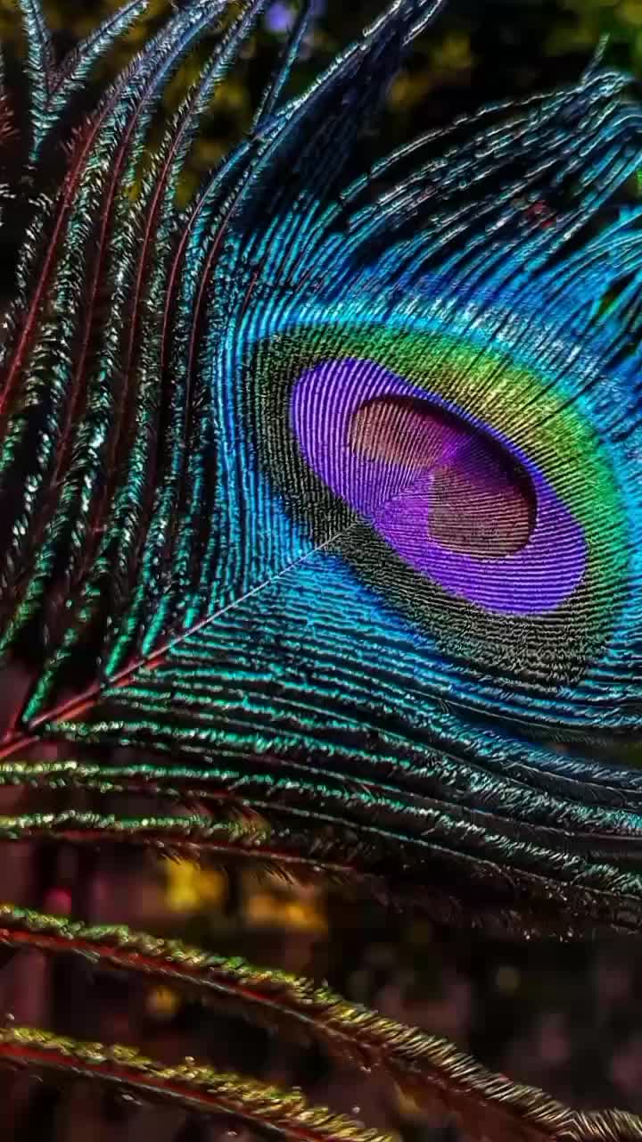 @&spades;︎ʙʟᴀᴄᴋ ʟᴏᴠᴇʀ&spades;︎