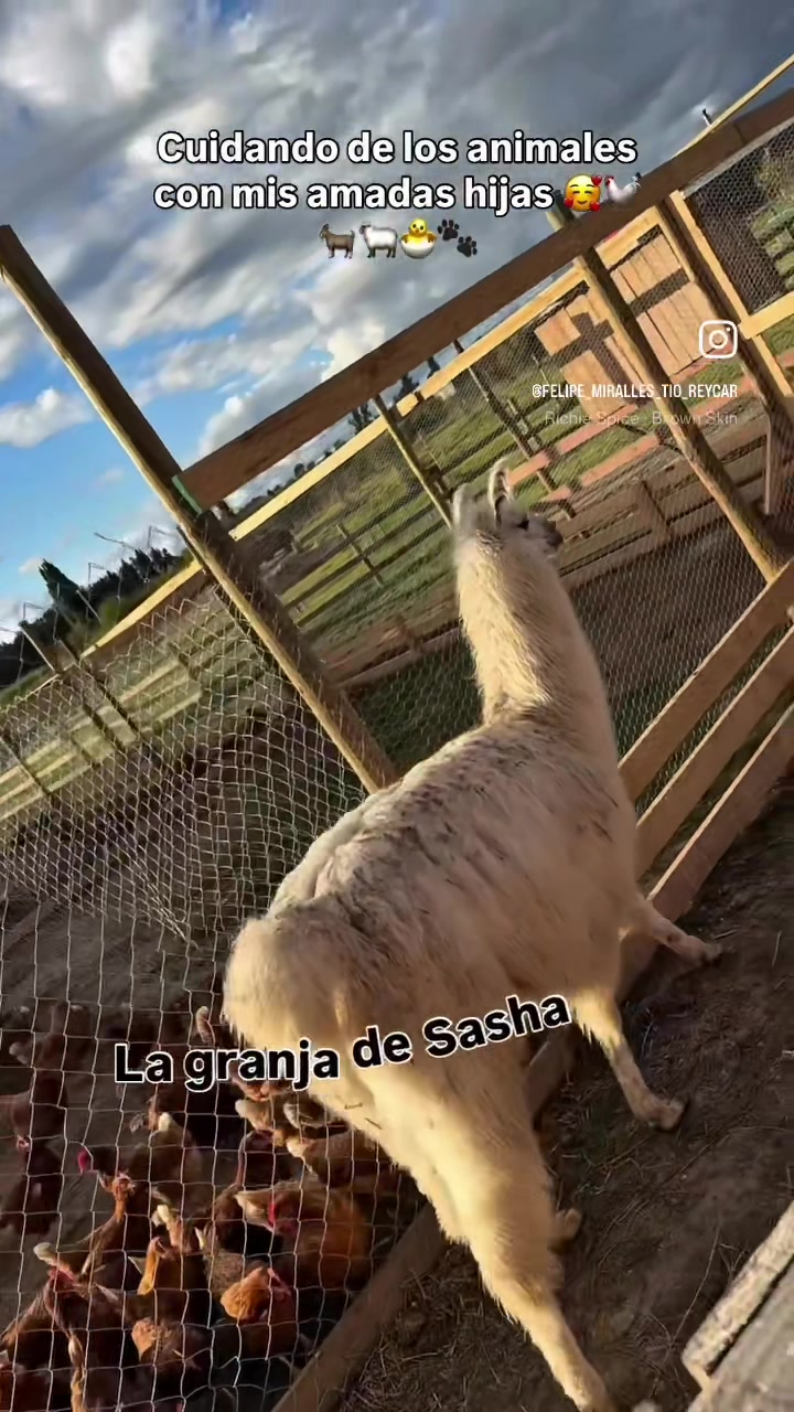 @Felipe miralles Tío Reycar