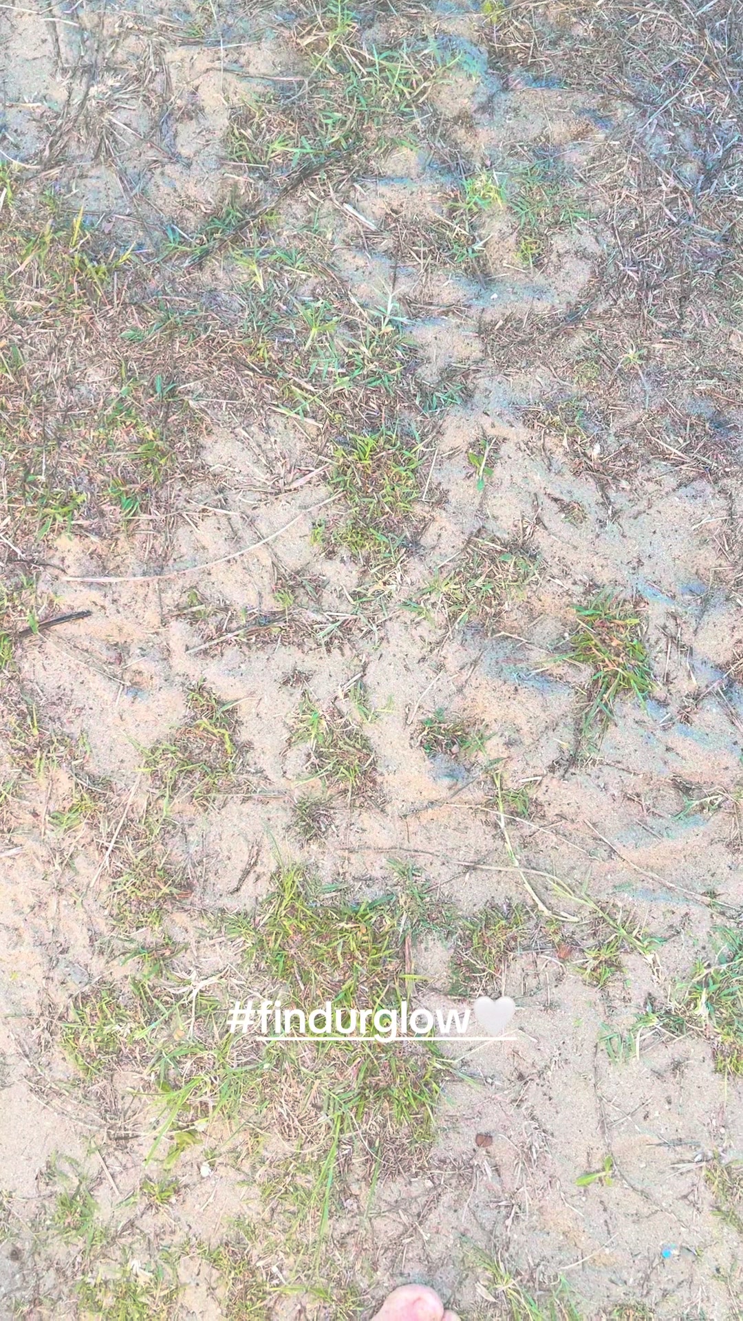 @Find_urglow Trene 🇦🇺