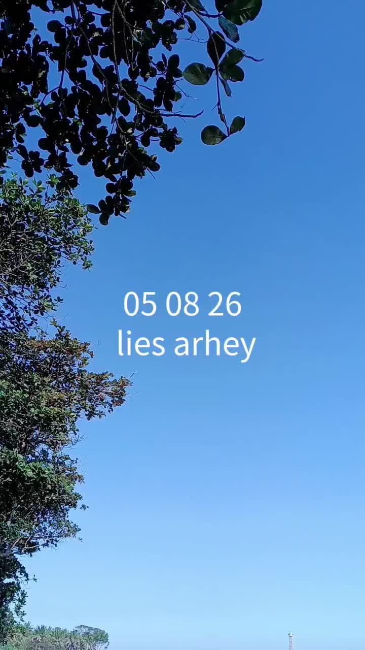 @LIES_ARHEY