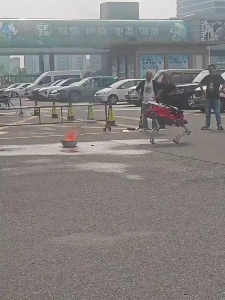 @晃晃悠悠