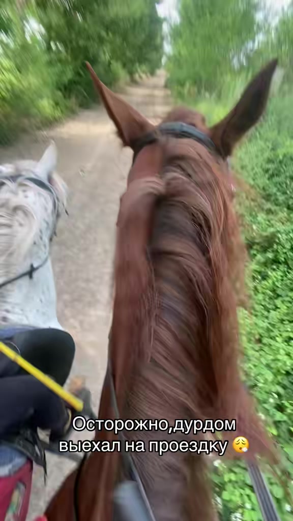 @jockey.hors