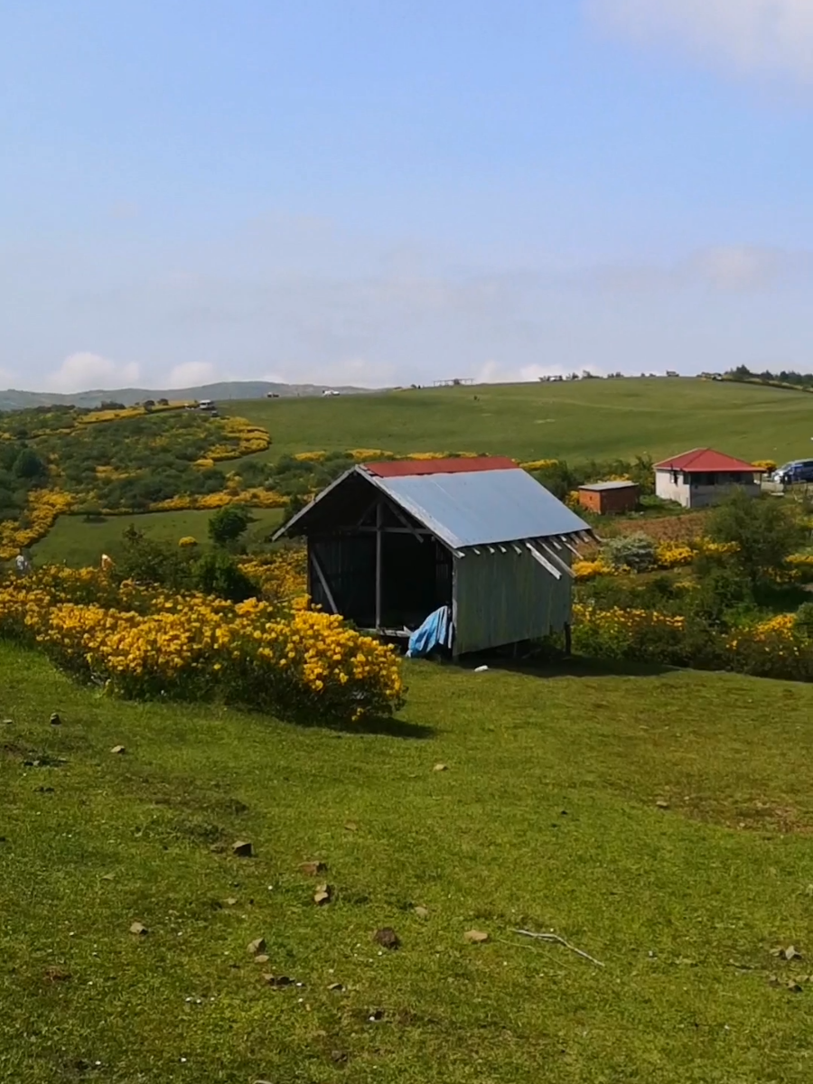 @Zoğa