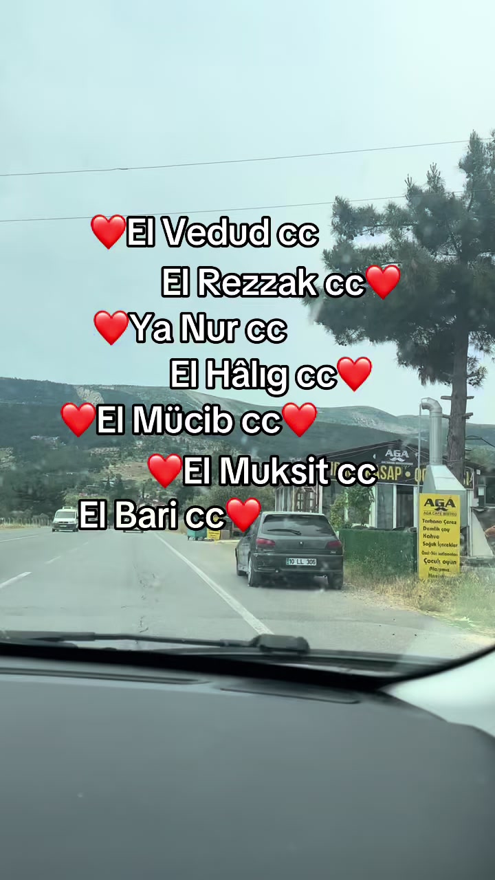 @papatyamm