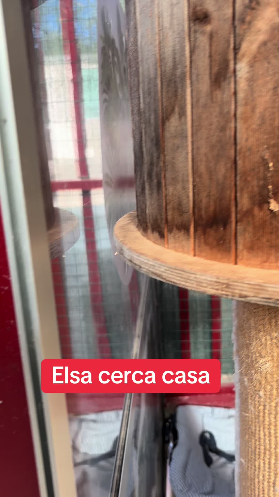 @Rafmain