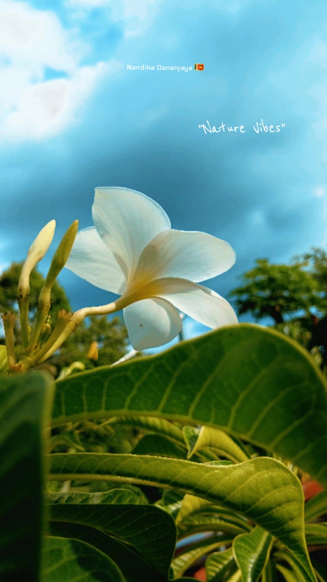 @Nandika Dananjaya