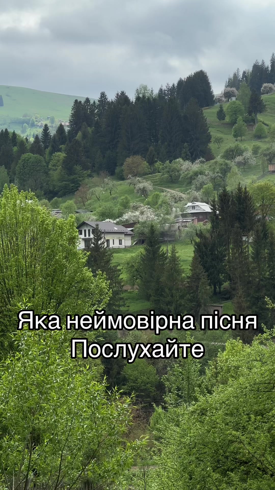 @Карпатський гуцул Любомир 2