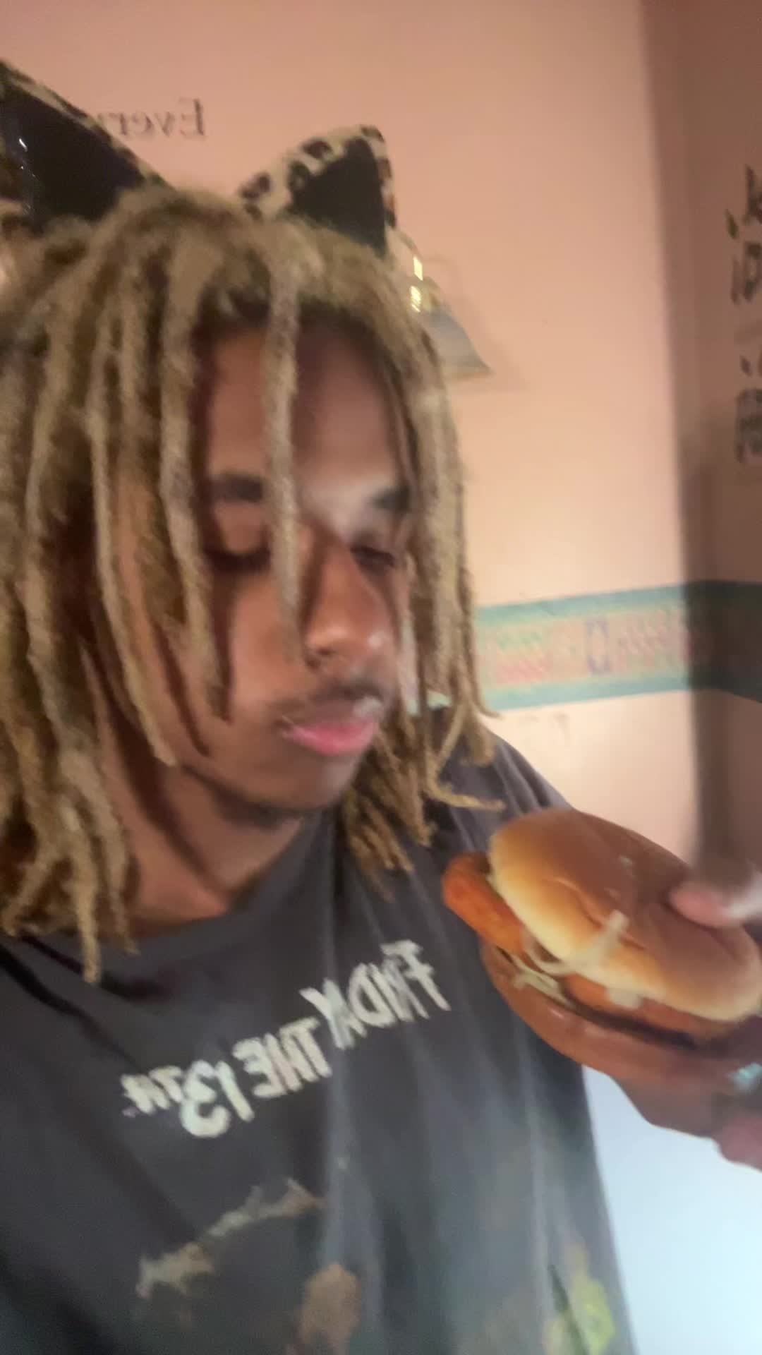 @ohbabyilovemcchickens