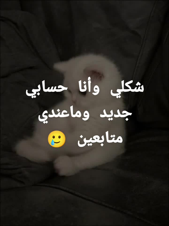 @Marya Marya