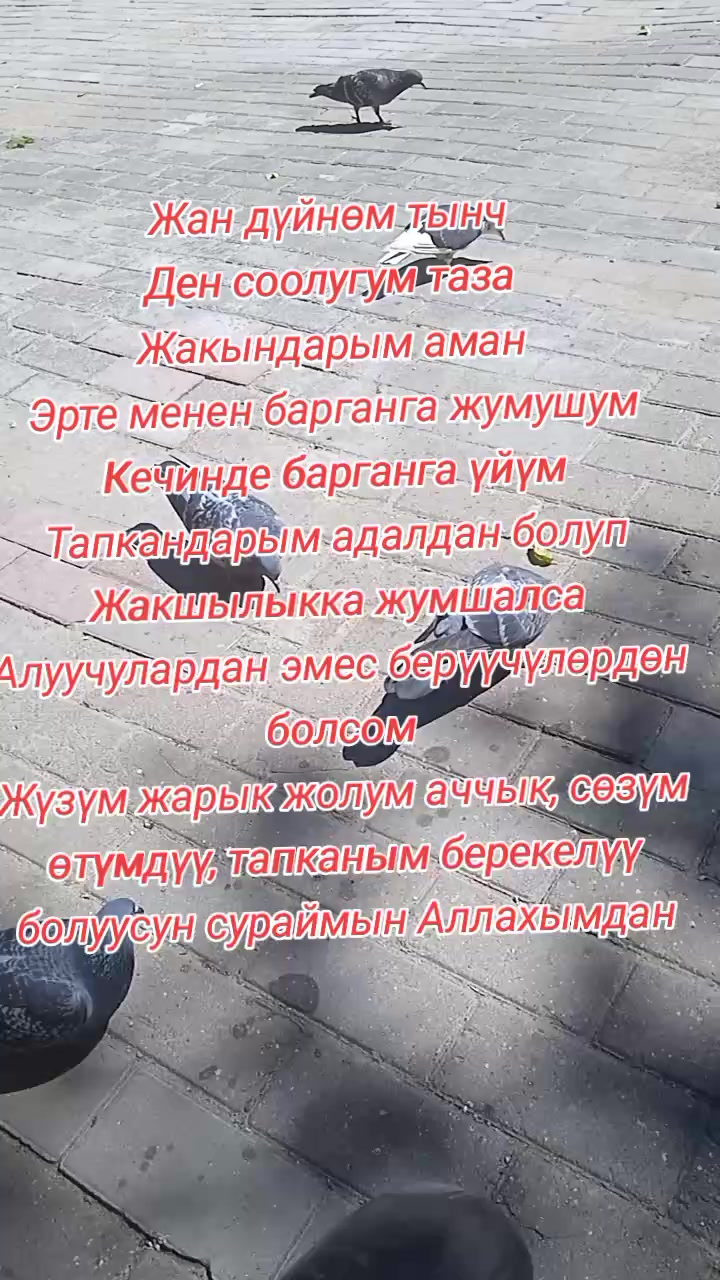 @BERMETIC