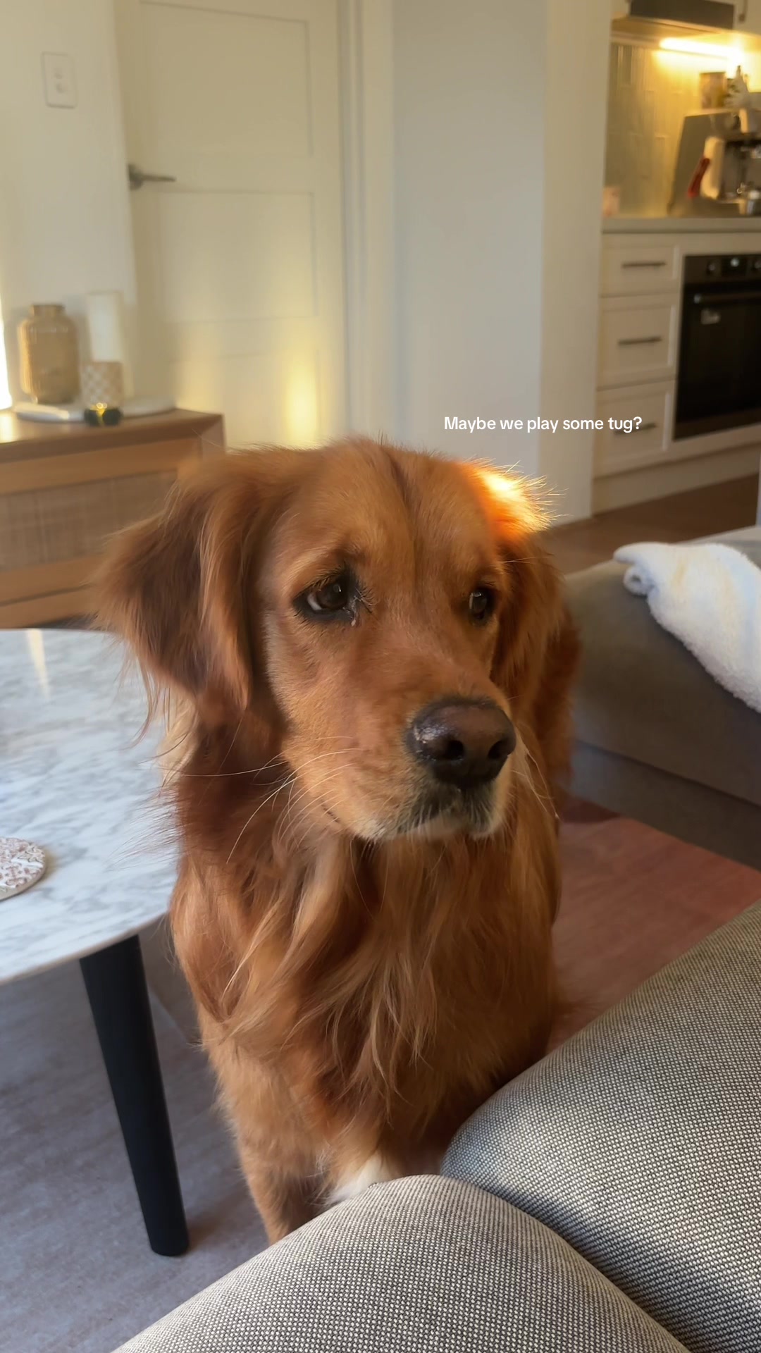@delilah.thegoldengirl