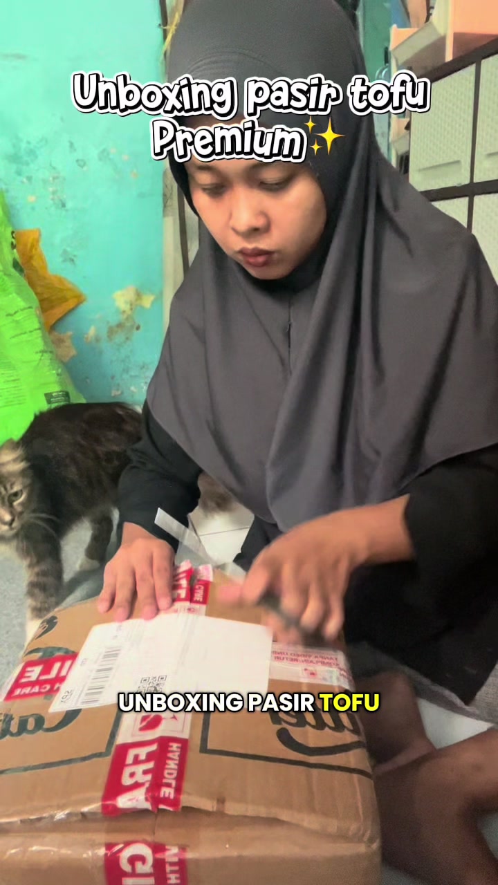 @Nita dan para kucing🐾