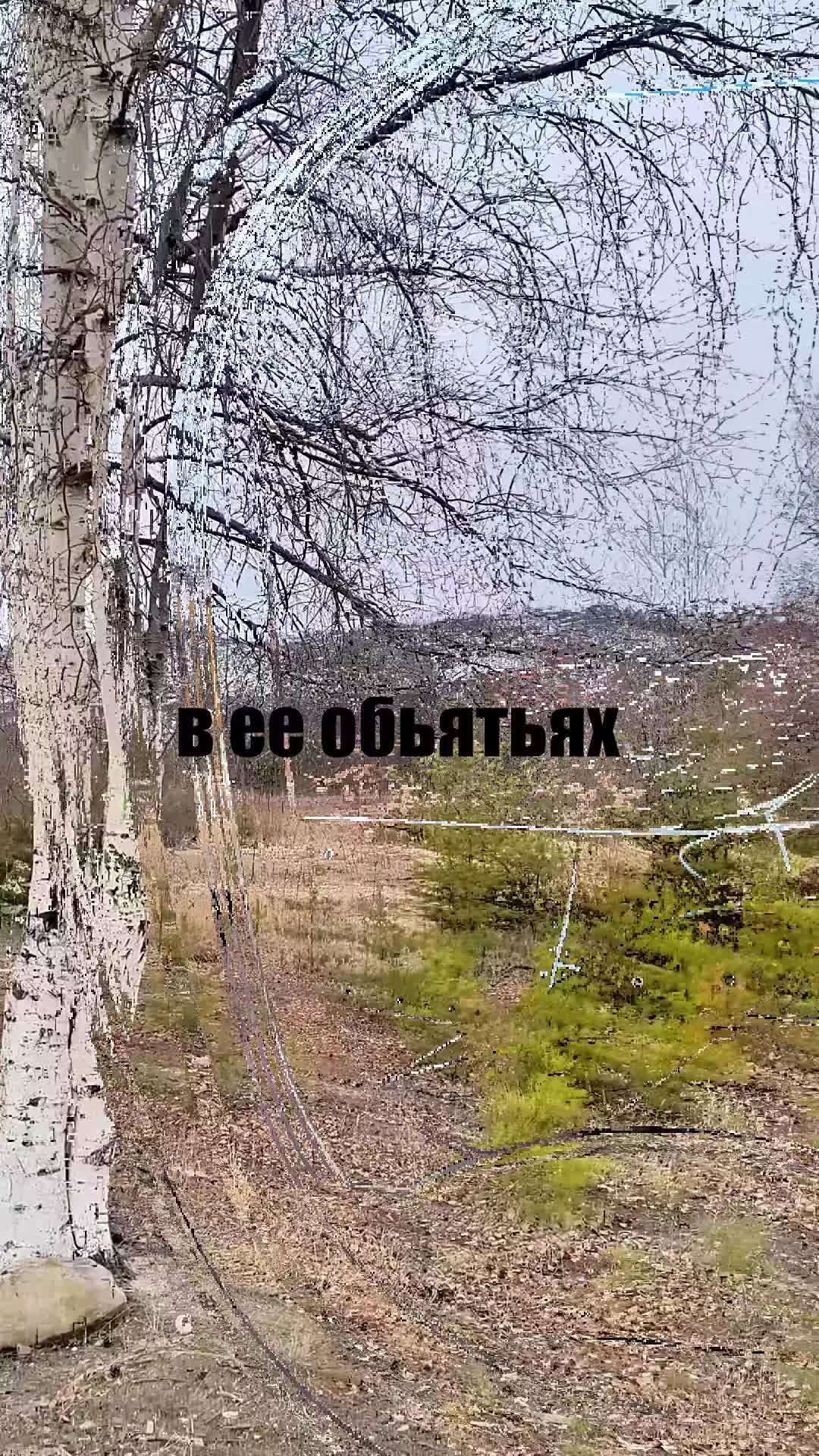 @Kortisss