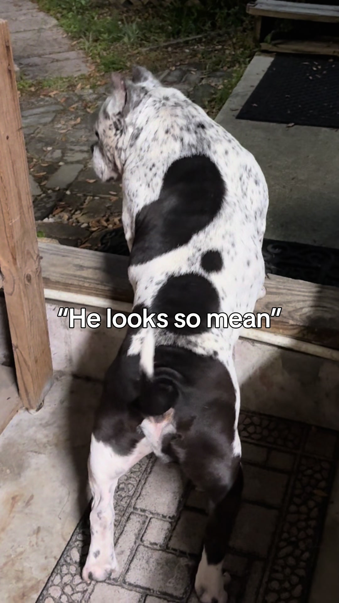@𝓢𝓱𝓪𝓻𝓪