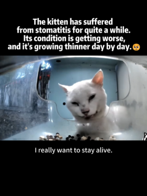 @Purrrr_eliza17