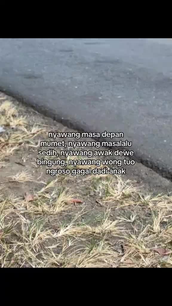 @mas git