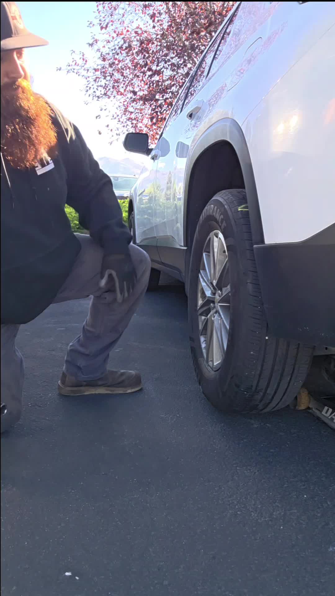 @Campbell'stire