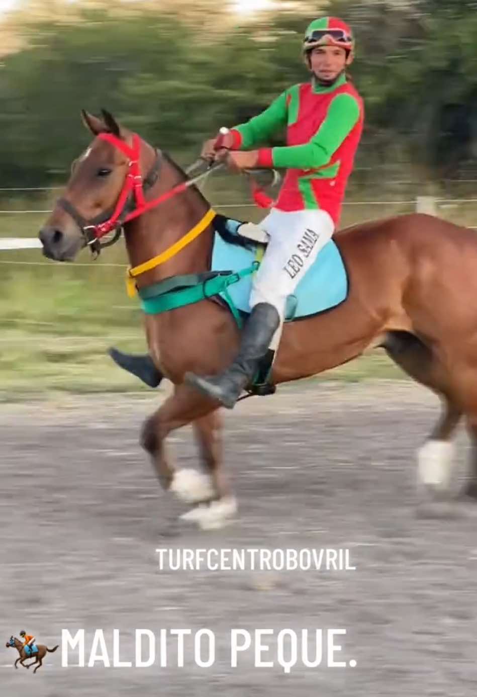 @TURF CENTRO BOVRIL