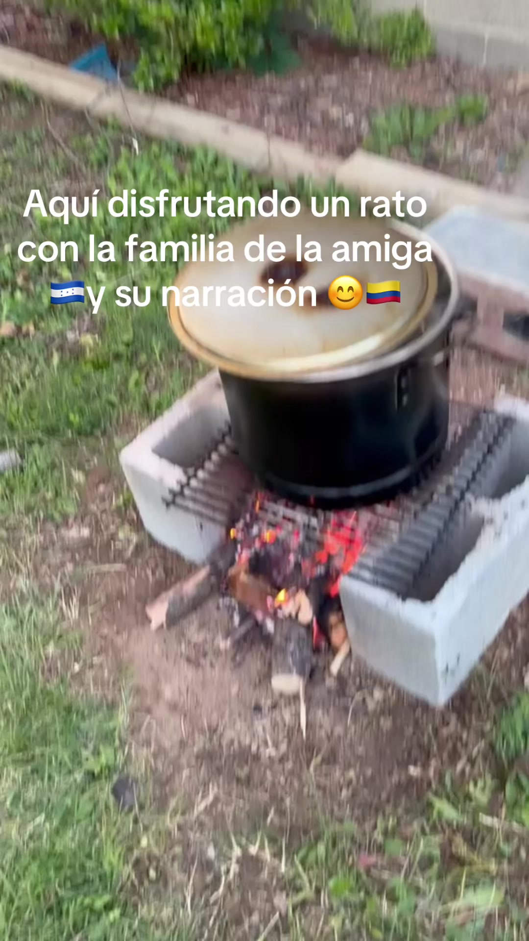 @🍹🌴