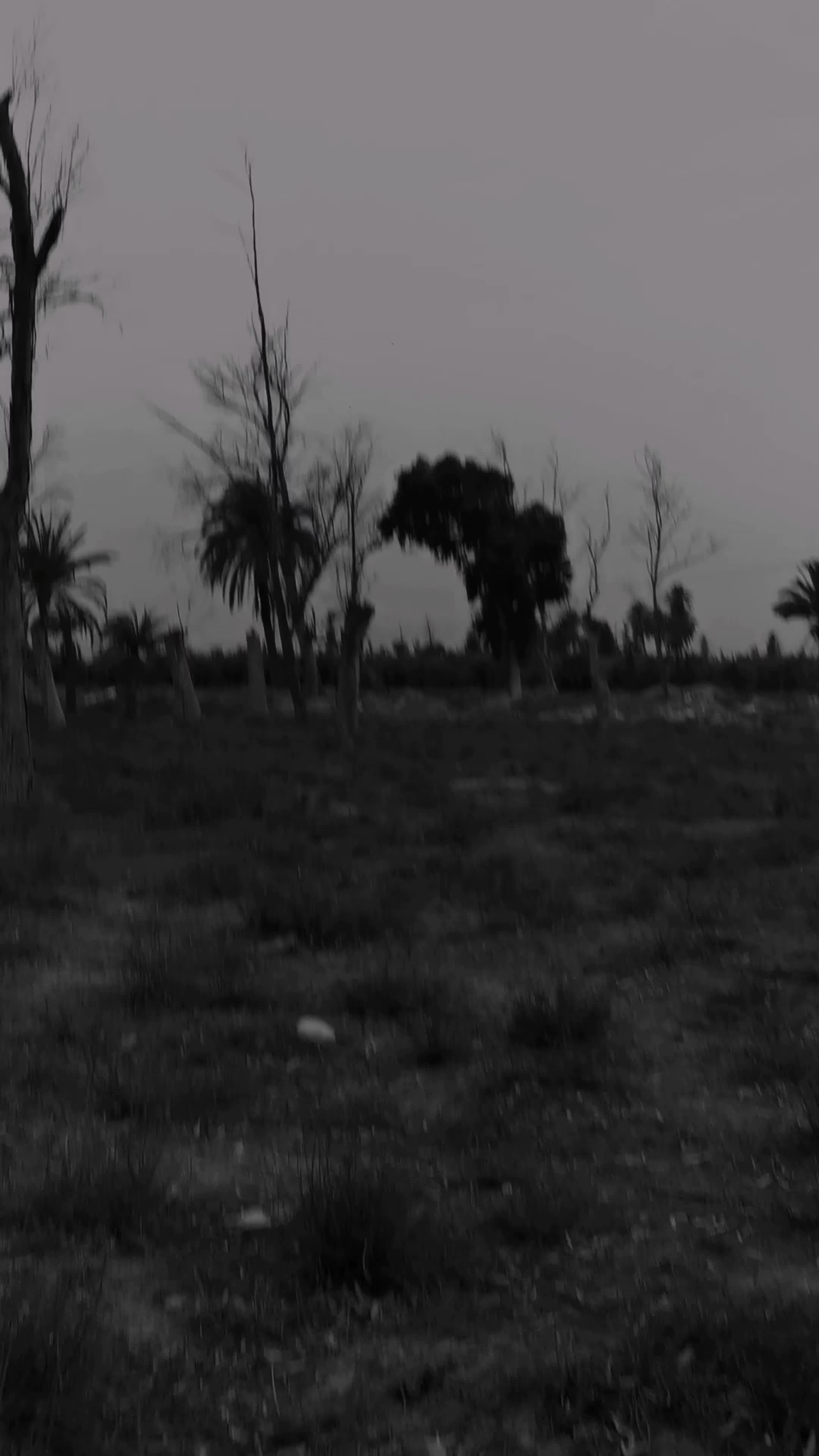 @أســـــــــ💔ــــــــامة