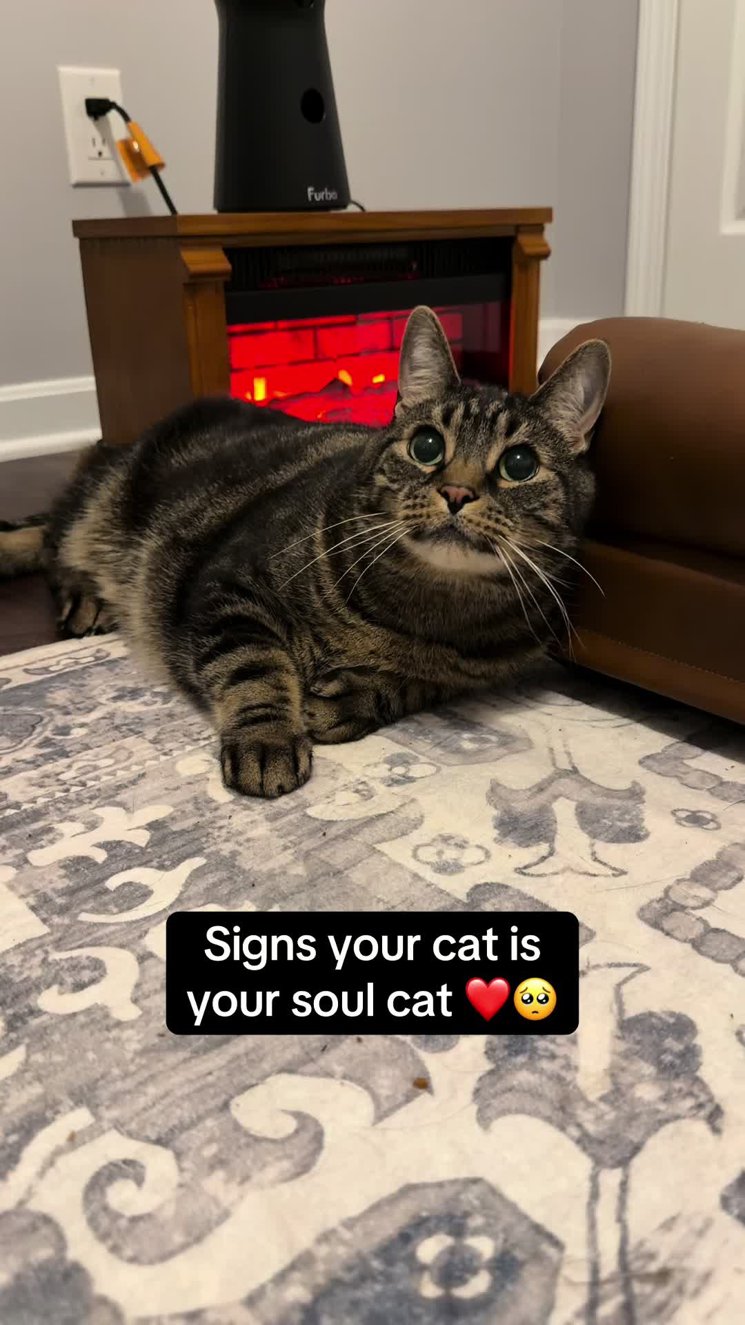 @Milo The Chonk