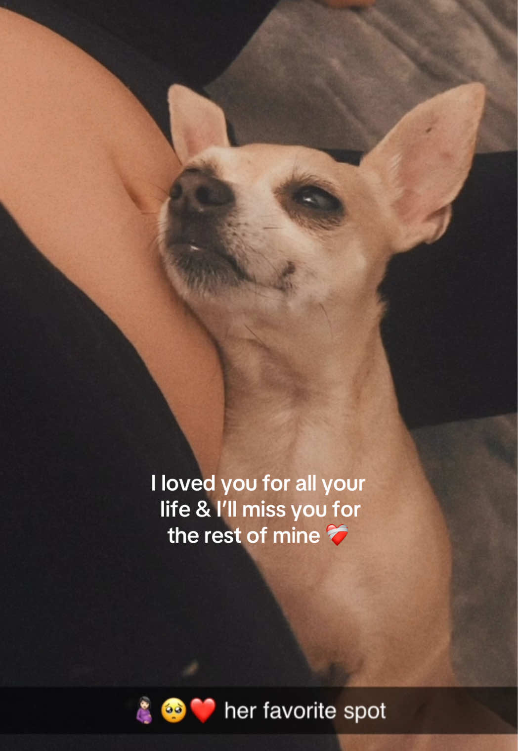 @GG🤎