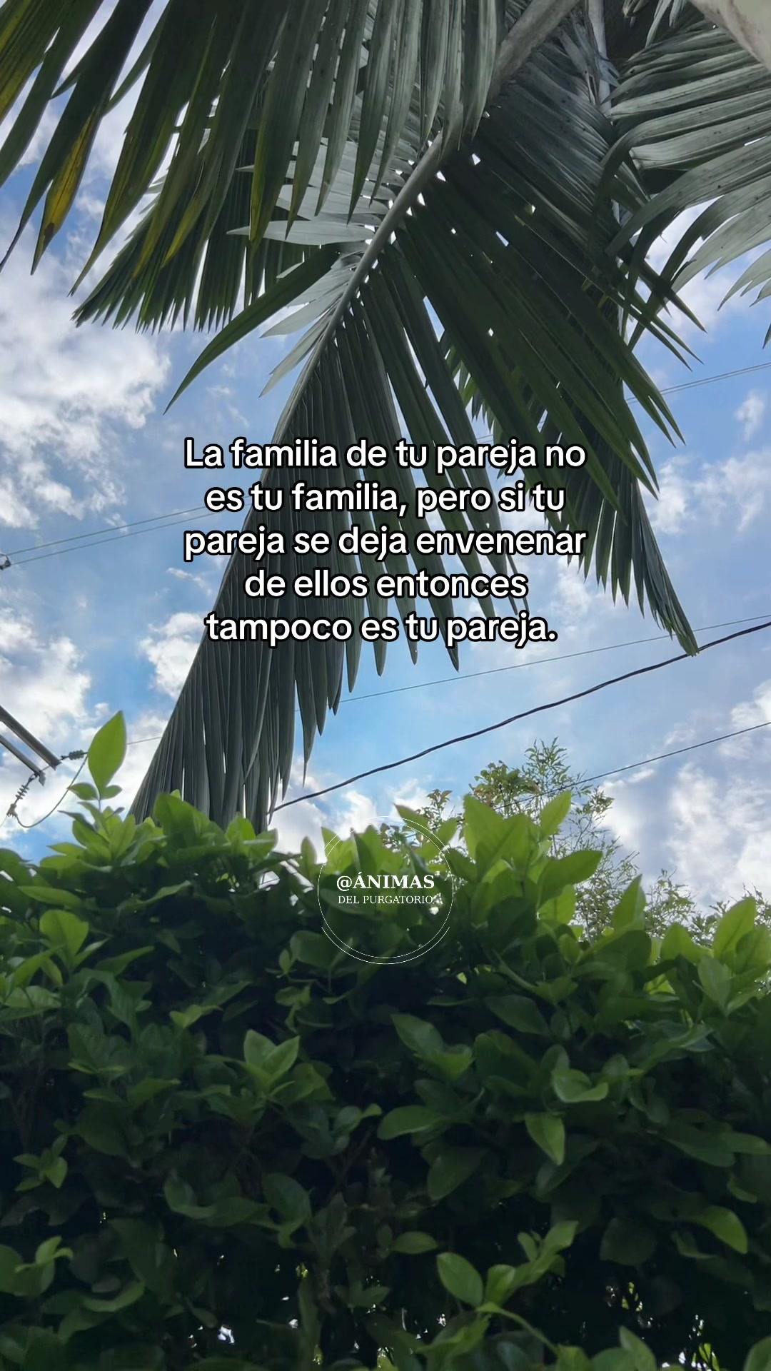@Sebas_animasdelpurgatorio