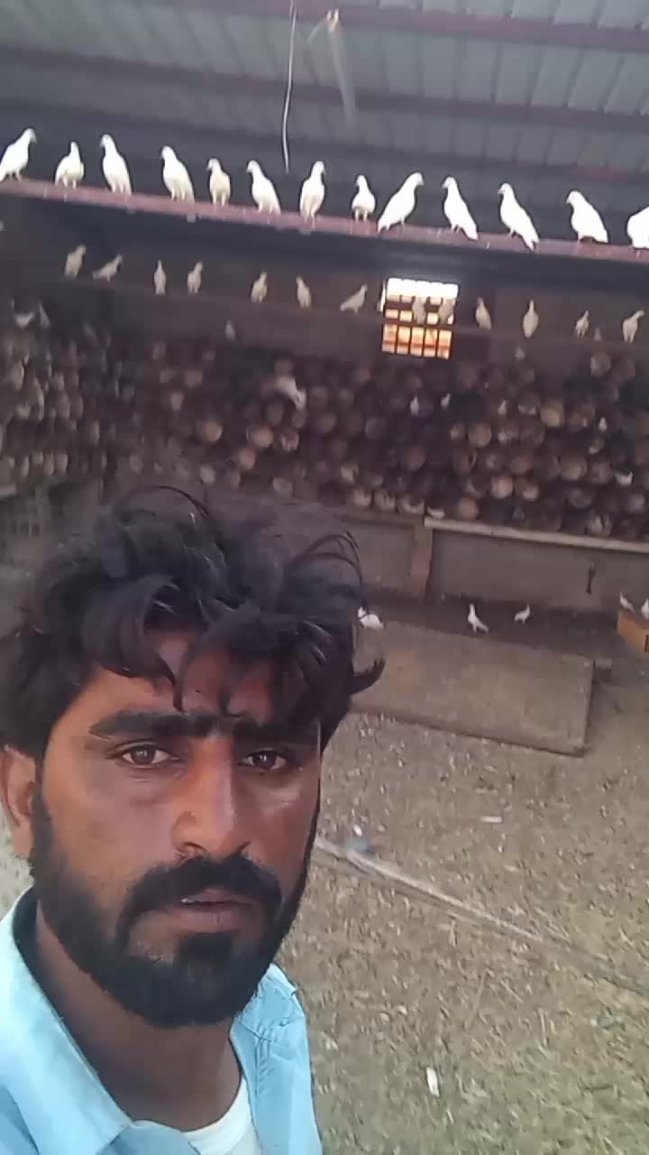@Fiaz_khosa85