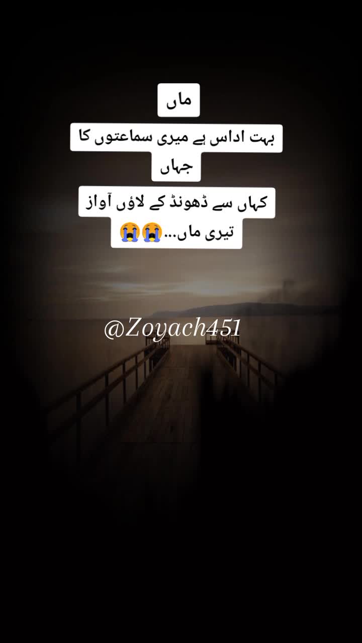 @ZOii..🦋