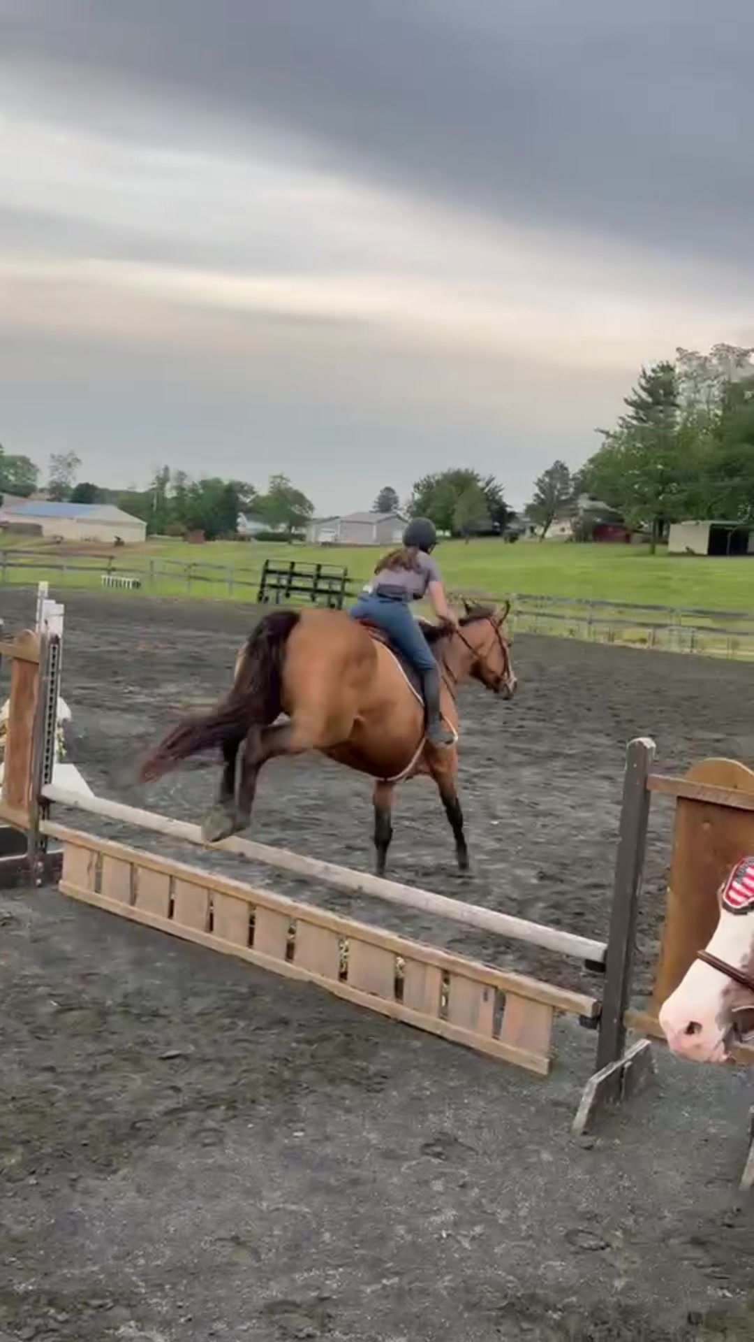 @Aftyn 🐎
